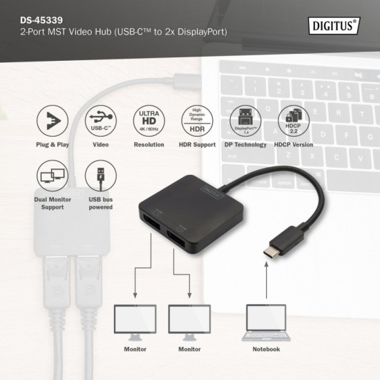 Video adapter 2-ports DS-45339