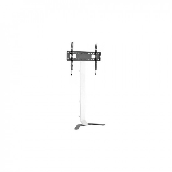 TV floor stand 32-70 inches 40kg slim