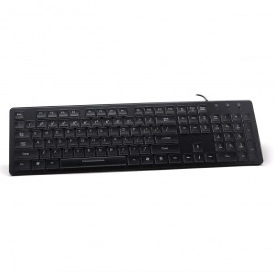 Keyboard Slim Backlit AK-20USB