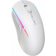 Gsming mouse YMS 3500WH Samuraj