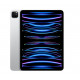 iPad Pro 11 inch Wi-Fi 256 GB Silver