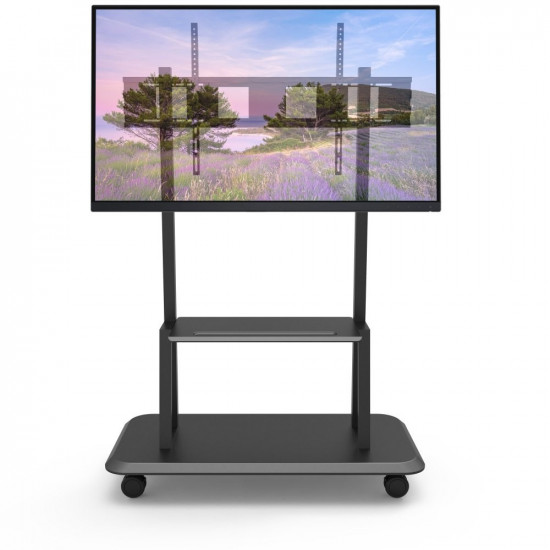 Mobile TV stand 55-150 inches 150kg, interactive board