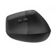 Mouse Lift Graphite Right Handed 910-006473