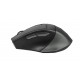 Mouse A4Tech Fstyler FB3 5 RF (2.4G+BT) Midnight green