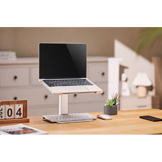 15.6-inch notebook stand with height adjustment, silver