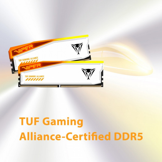 Memory DDR5 Viper Elite 5 RGB TUF 32GB/6600 (2x16GB) CL34