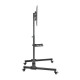 TV-Monitor cart, 32-55& 39 35kg, height adjustable