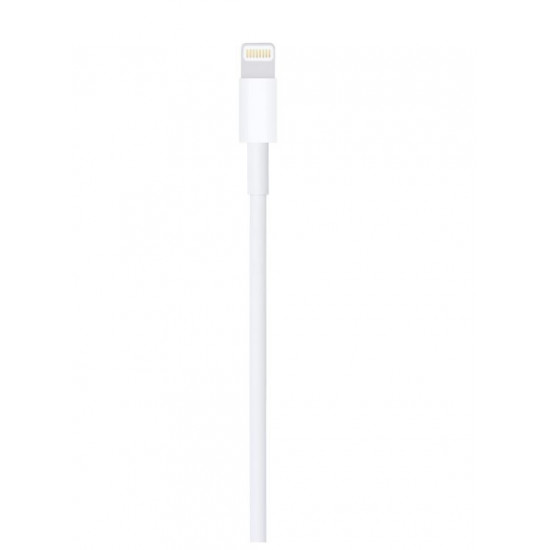 Lightning to USB cable (1 m)