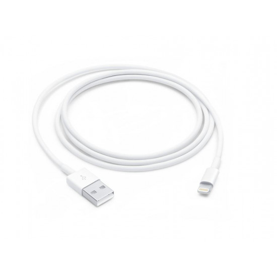 Lightning to USB cable (1 m)