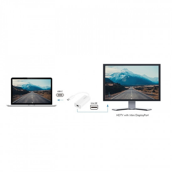 USB-C to mini display port adapter, 4K/60Hz