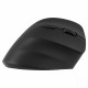 Ergonomic right-handed wireless mouse, Dual WL+BT