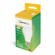 LED bulb GLS E27 20W NW 230V