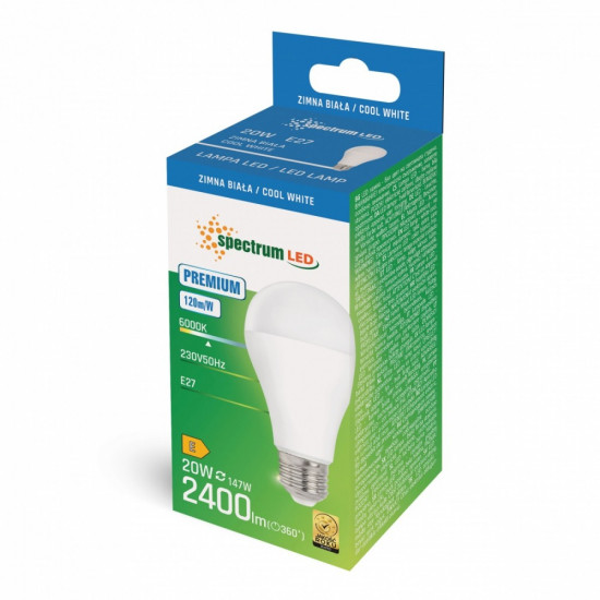 LED bulb GLS E27 20W CW 230V