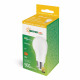 LED bulb GLS E27 9W NW 230V