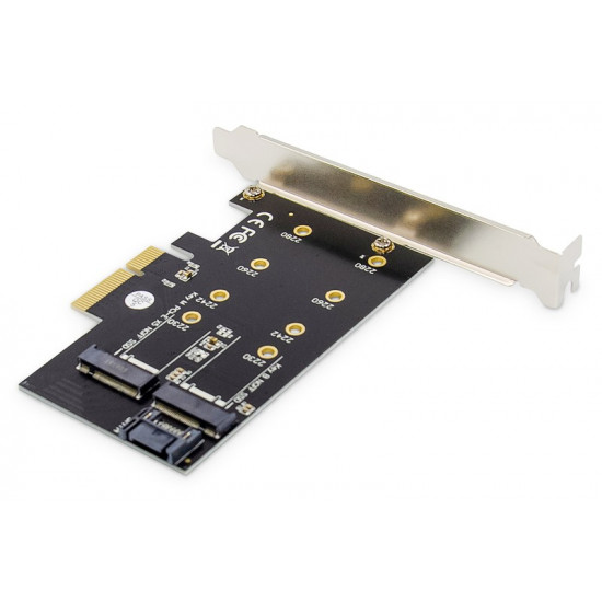 Add-On PCI Express card DS-33170