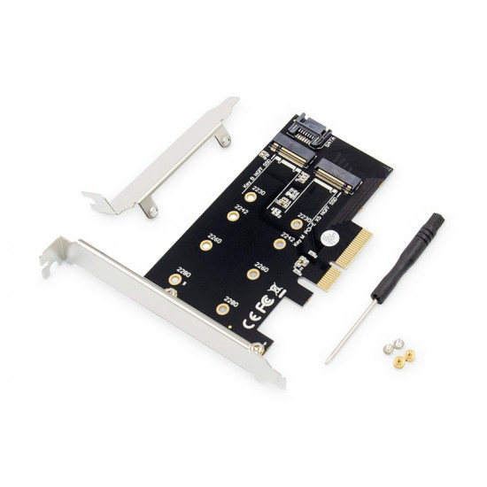 Add-On PCI Express card DS-33170