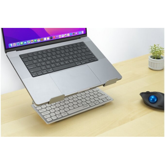 Universal laptop riser