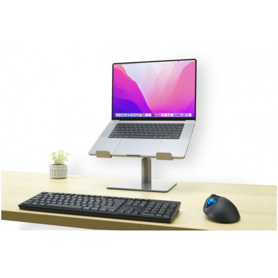 Universal laptop riser