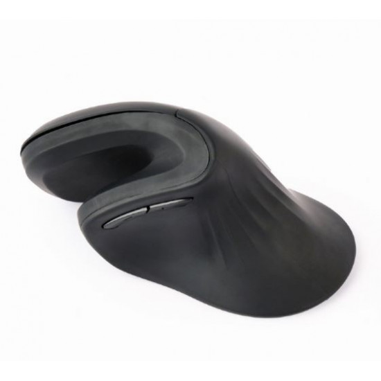 Ergonomical mouse 6 key black