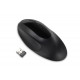 Wireless Mouse Pro Fit Ergo - Black