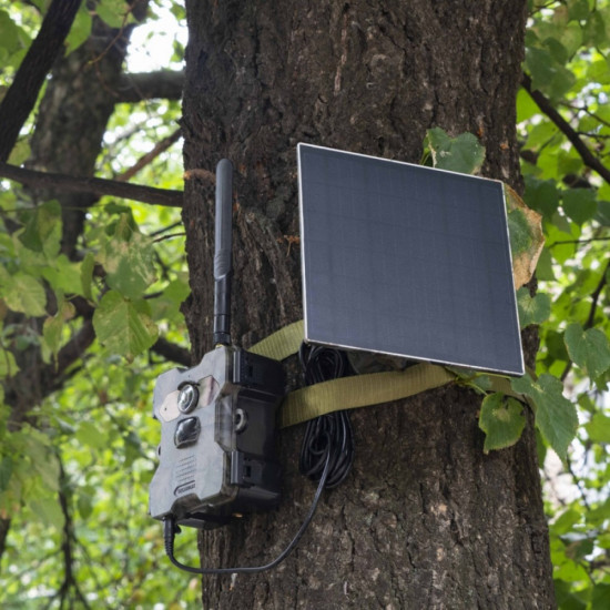 Wildcam with solar panel