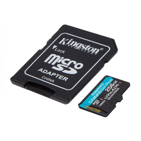 Card microSD 256GB Canvas Go Plus 170/90MB/s