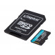 Card microSD 256GB Canvas Go Plus 170/90MB/s