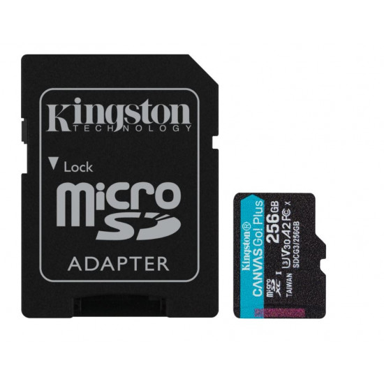 Card microSD 256GB Canvas Go Plus 170/90MB/s