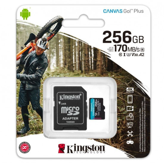 Card microSD 256GB Canvas Go Plus 170/90MB/s