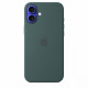 Silicone case with MagSafe for iPhone 16 Plus - lake green