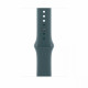 Lake Green Sport Band 46 mm - M/L