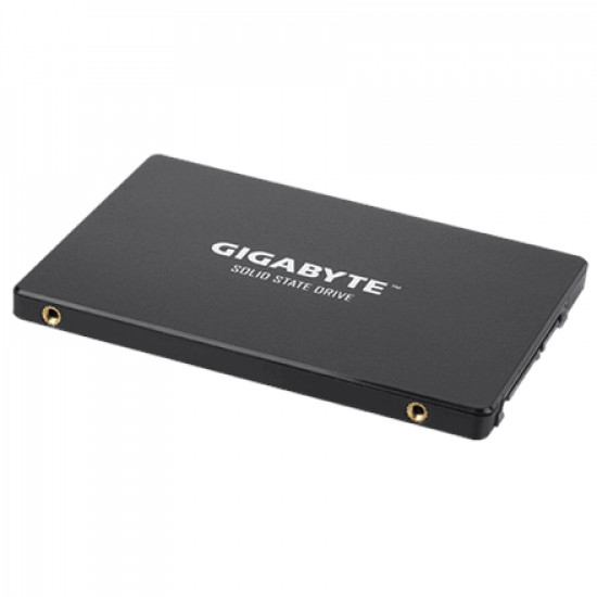 Gigabyte GP-GSTFS31256GTND 256 GB, SSD interface SATA, Write speed 500 MB/s, Read speed 520 MB/s