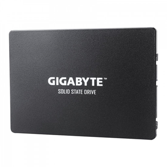 Gigabyte GP-GSTFS31256GTND 256 GB, SSD interface SATA, Write speed 500 MB/s, Read speed 520 MB/s