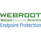 Webroot Business Endpoint Protection with GSM Console, Antivirus Business Edition, 1 year(s), License quantity 1-9 user(s)