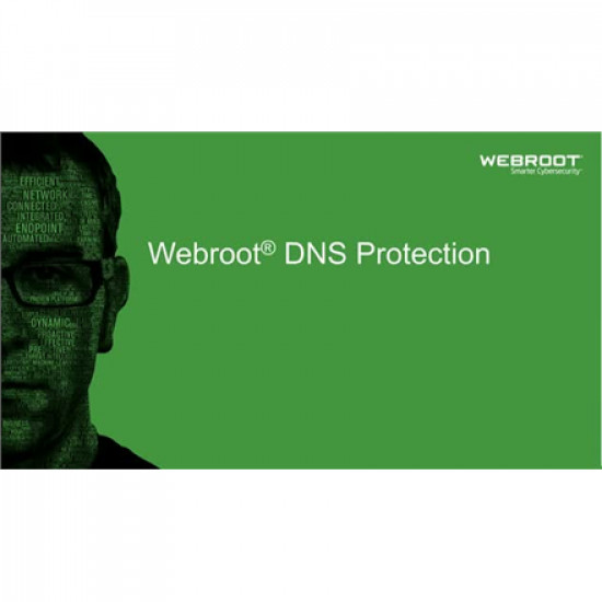 Webroot DNS Protection with GSM Console, 1 year(s), License quantity 1-9 user(s)