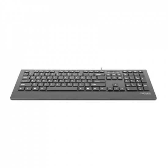 Natec Keyboard, Barracuda, US Layout, Slim