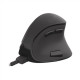 Natec Vertical Mouse Euphonie Wireless, Black, Optical