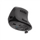 Natec Vertical Mouse Euphonie Wireless, Black, Optical