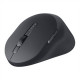 Dell Premier Rechargeable Wireless Mouse MS900 Graphite