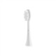 ETA Toothbrush replacement FlexiClean ETA070790100 Heads For adults Number of brush heads included 2 Number of teeth brushing modes Does not apply White