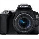 Megapixel 24.1 MP | Optical zoom x | Image stabilizer | ISO 25600 | Display diagonal 3 