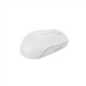 Lenovo | Compact Mouse with battery | 300 | Wireless | Cloud Grey