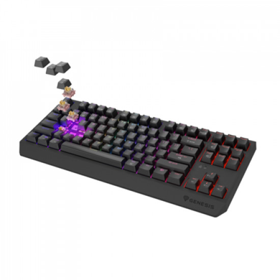 THOR 230 | Mechanical Gaming Keyboard | Wireless | US | Black | 2.4 GHz, Bluetooth, USB | Outemu Panda