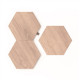 Nanoleaf|Elements Wood Look Hexagons Expansion Pack (3 panels)|Cool White + Warm White