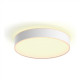 Philips Hue Enrave M ceiling lamp white | 19.2 W | White Ambiance 2200-6500 | Bluetooth