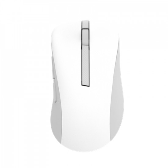 Asus Wireless Mouse | MD102 | Mouse | 2.4 GHz, Bluetooth | White