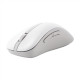 Asus Wireless Mouse | MD102 | Mouse | 2.4 GHz, Bluetooth | White