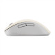 Asus Wireless Mouse | MD102 | Mouse | 2.4 GHz, Bluetooth | Beige