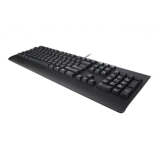 LENOVO USB Keyboard Black Lithuanian