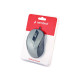 GEMBIRD MUS-6B-01-BG optical mouse 1600DPI USB Black spacegrey